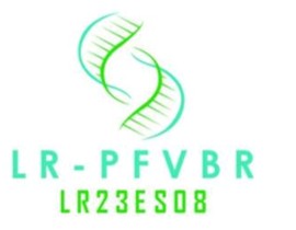 PF-VBR
